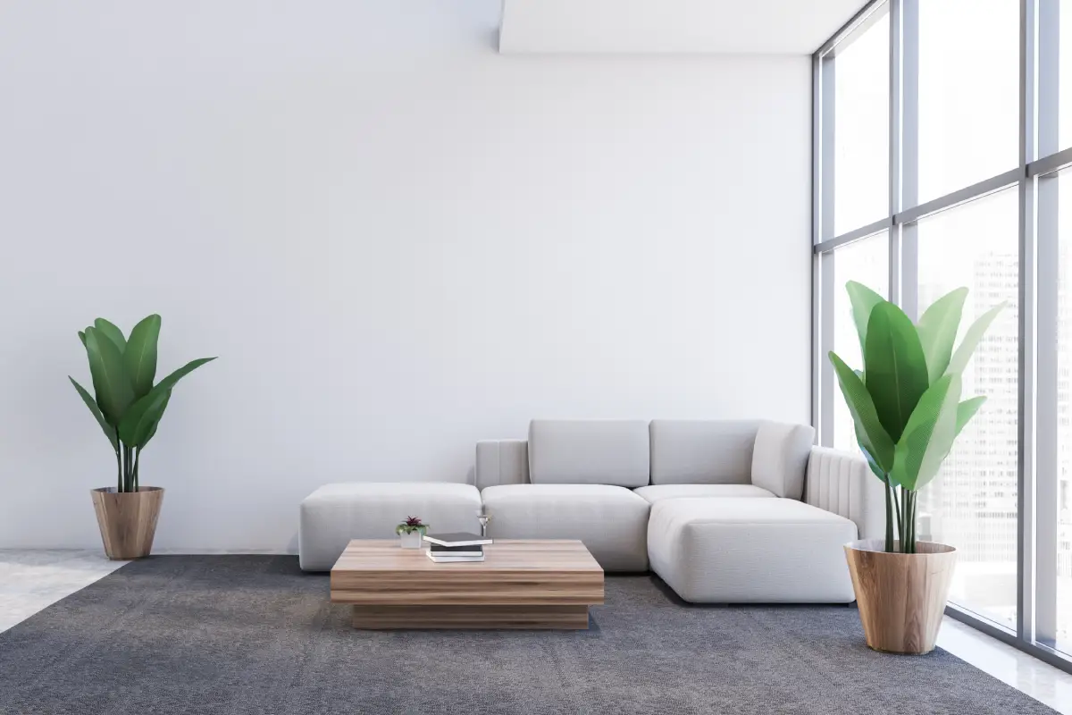 Tyler's Full-Occupancy Illusion: When the Numbers Don't Match the Lease